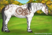 Horse Color:Bay Sabino 
