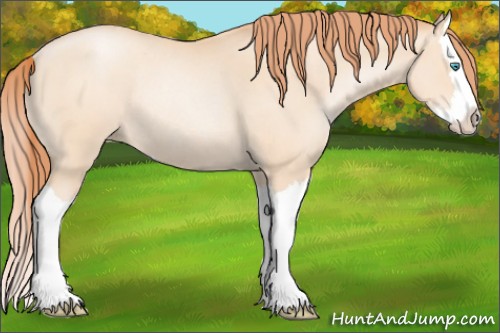 Horse Color:Amber Champagne Roan Pearl Splash Rabicano 