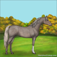 Horse Color:Silver Blue Roan 