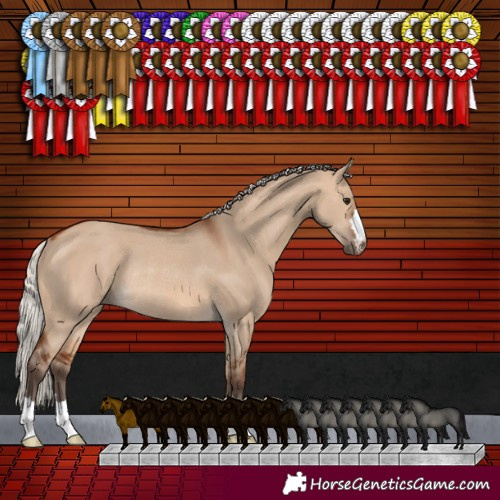 Horse Color:Silver Brown Dun Rabicano 