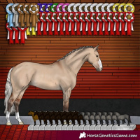 Horse Color:Silver Brown Dun Rabicano 