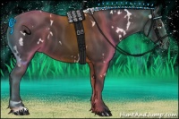 Horse Color:White Spotted Liver Chestnut Sabino