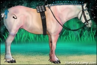 Horse Color:White Spotted Silver Perlino Tobiano 