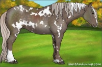 Horse Color:White Spotted Silver Black Sabino 