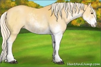 Horse Color:Palomino Sabino