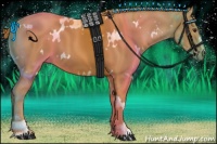 Horse Color:White Spotted Chestnut Sabino