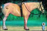 Horse Color:Palomino Sabino Tobiano