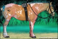 Horse Color:White Spotted Silver Buckskin Tobiano 