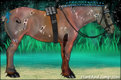 Horse Color:ERROR: UNKNOWN ANOMALY