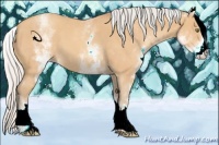 Horse Color:White Spotted Silver Amber Champagne 