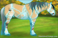 Horse Color:Thunderstruck White Spotted Buckskin