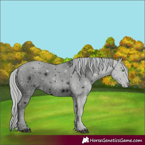 Horse Color:ERROR: UNKNOWN ANOMALY