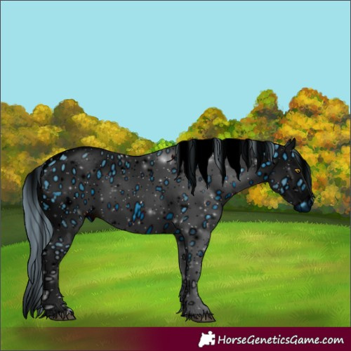 Horse Color:ERROR: UNKNOWN ANOMALY
