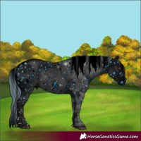 Horse Color:ERROR: UNKNOWN ANOMALY