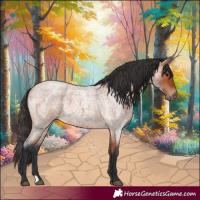 Horse Color:Bay Roan 