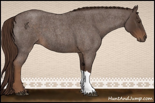 Horse Color:Liver Red Roan 