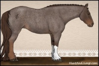 Horse Color:Liver Red Roan 