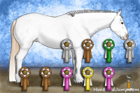 Horse Color:Chestnut Tobiano Appaloosa and Chestnut Splash Appaloosa