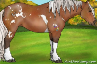 Horse Color:White Spotted Silver Bay Tobiano