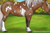 Horse Color:White Spotted Silver Bay Tobiano