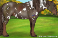 Horse Color:White Spotted Liver Chestnut 
