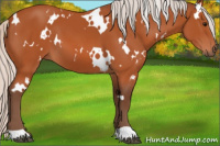 Horse Color:White Spotted Silver Bay 