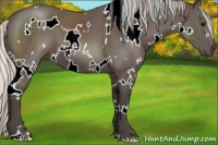 Horse Color:White Spotted Silver Black 