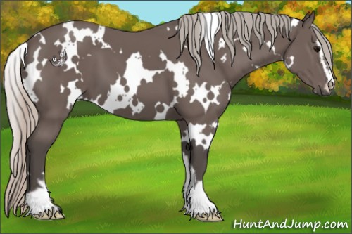 Horse Color:White Spotted Silver Black Sabino 