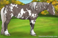 Horse Color:White Spotted Silver Black Sabino 