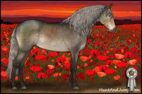 Horse Color:Gray Silver Brown Dun Sabino Brindle 