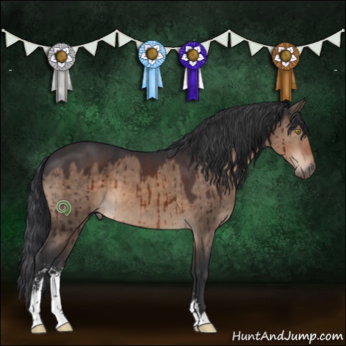 Horse Color:Brown Dun Sabino Brindle 