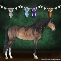 Horse Color:Brown Dun Sabino Brindle