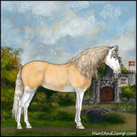 Horse Color:Palomino Roan Splash Rabicano