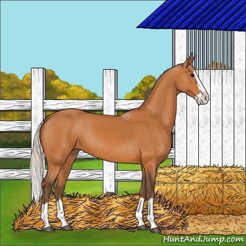 Horse Color:Silver Bay Splash