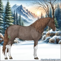 Horse Color:Liver Red Roan 