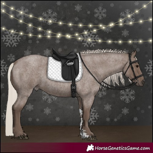 Horse Color:Silver Blue Roan Sabino 