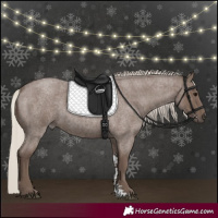 Horse Color:Silver Blue Roan Sabino 