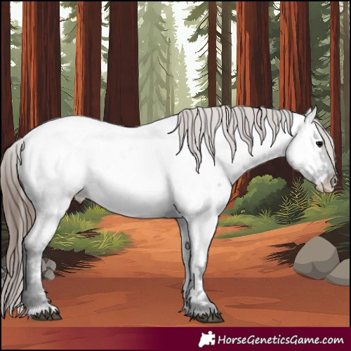 Horse Color:Grullo Roan Near Fewspot 