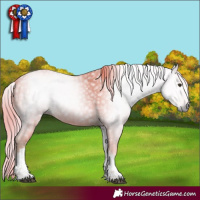 Horse Color:Gray Watercolor White Spotted Chestnut 