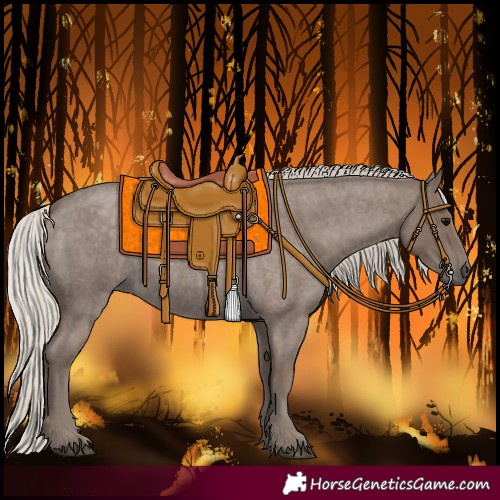 Horse Color:Silver Blue Roan Sabino
