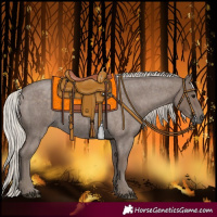 Horse Color:Silver Blue Roan Sabino