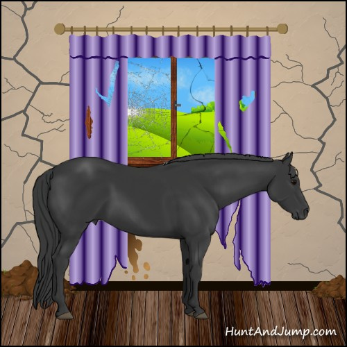Horse Color:Black 