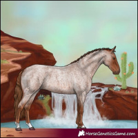 Horse Color:Red Roan 