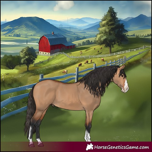 Horse Color:Bay Dun Splash Tobiano 