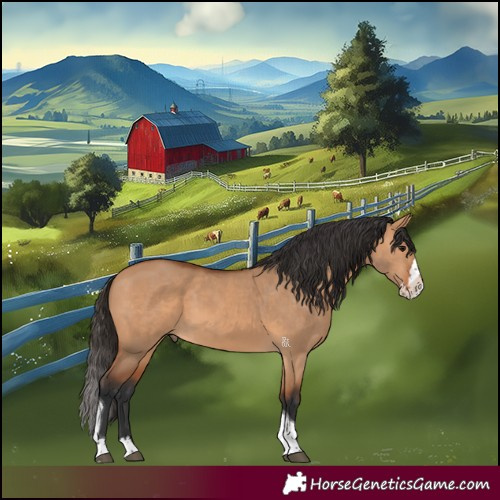 Horse Color:Bay Dun Splash Tobiano