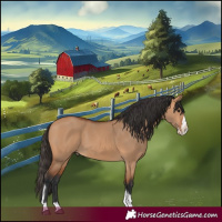 Horse Color:Bay Dun Splash Tobiano 