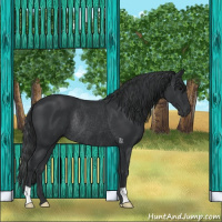Horse Color:Black Rabicano 