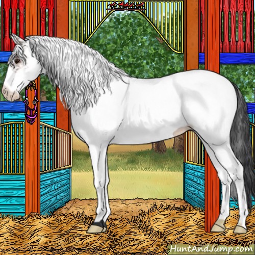Horse Color:White Spotted Brown 