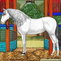 Horse Color:White Spotted Brown 