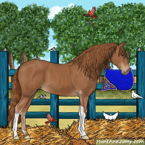 Horse Color:Chestnut 